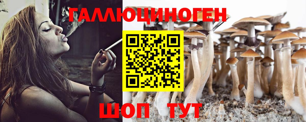 Галлюциногенные грибы мицелий  Вход с VPN  Кимовск 