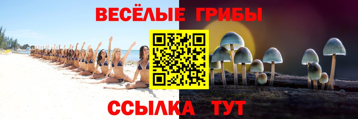 Псилоцибиновые грибы мухоморы Кимовск